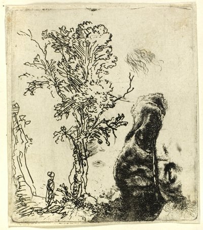 Arkusz z dwoma opracowaniami: drzewo i górna część głowy artysty noszącego aksamitną czapkę autorstwa Rembrandt van Rijn