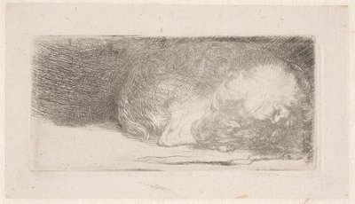  autorstwa Rembrandt van Rijn