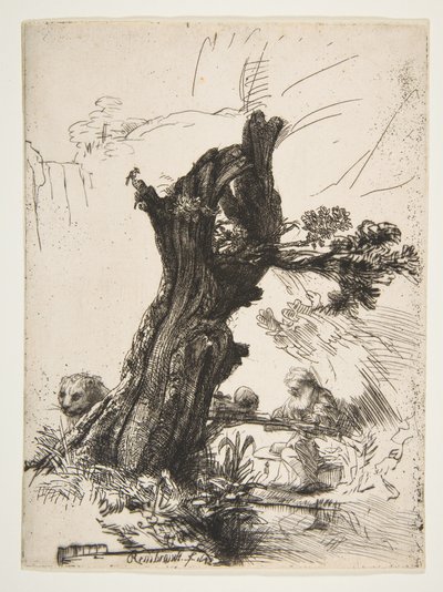 Św. Jerome obok wierzby Pollard, 1648. autorstwa Rembrandt van Rijn