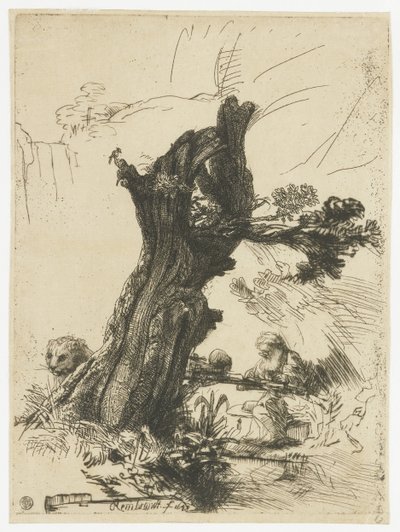 St Jerome obok wierzby ogórkowej autorstwa Rembrandt van Rijn