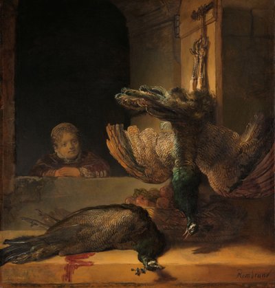 Martwa natura z pawiami Martwa natura z martwymi pawiami autorstwa Rembrandt van Rijn