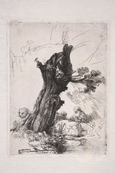 Święty Hieronim piszący przy pniu wierzby autorstwa Rembrandt van Rijn