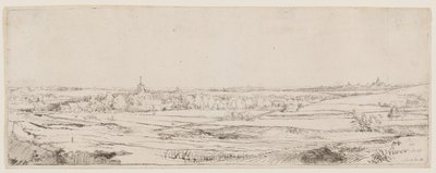 Pole Złotego Wagarnika autorstwa Rembrandt van Rijn
