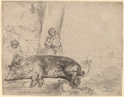 Wieprz autorstwa Rembrandt van Rijn