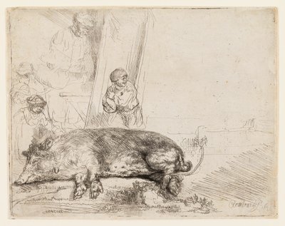 Wieprz autorstwa Rembrandt van Rijn