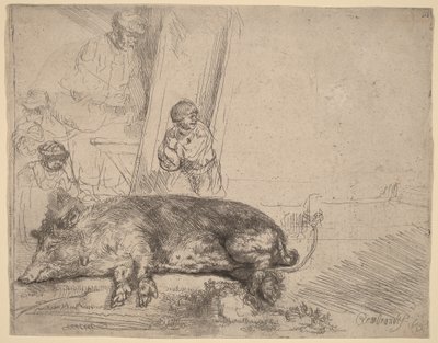 Hog autorstwa Rembrandt van Rijn