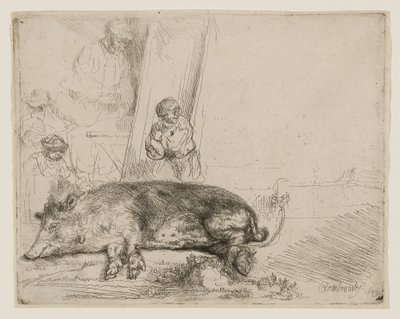 Hog autorstwa Rembrandt van Rijn