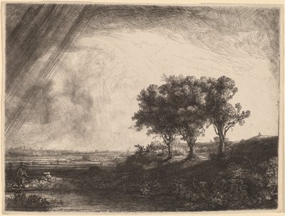 Trzy Drzewa autorstwa Rembrandt van Rijn