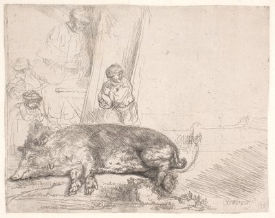 Świnia autorstwa Rembrandt van Rijn