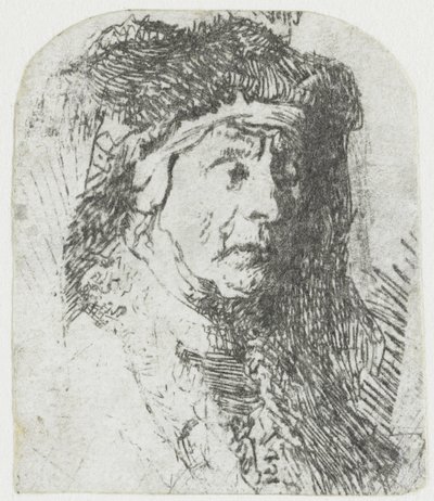 Kobieta w płaszczu obszytym futrem Popiersie staruszki w futrzanym płaszczu i ciężkim nakryciu głowy autorstwa Rembrandt van Rijn