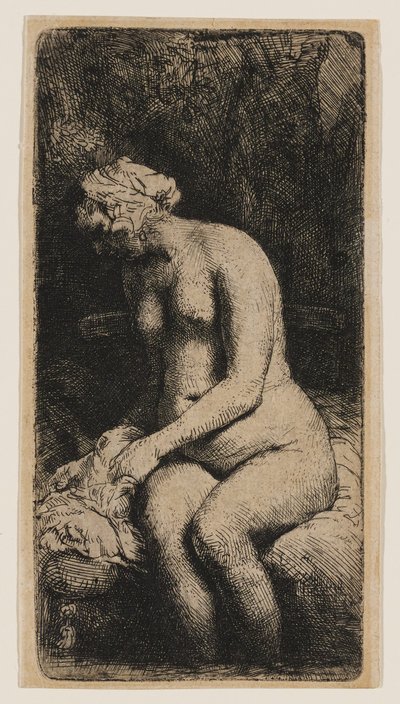 Kobieta z nogami zanurzonymi w strumieniu autorstwa Rembrandt van Rijn