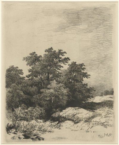 Krajobraz z drzewami autorstwa Remigius Adrianus Haanen