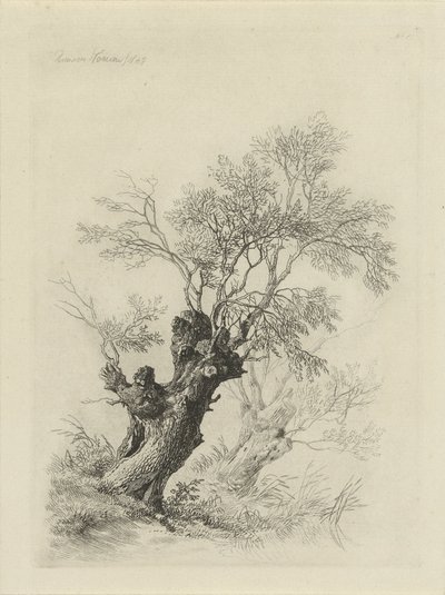 Wierzba autorstwa Remigius Adrianus Haanen