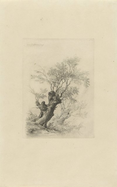 Wierzba autorstwa Remigius Adrianus Haanen