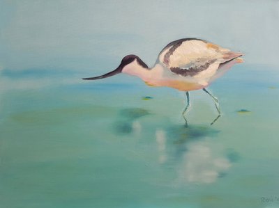 Avocets autorstwa Renate Dohr