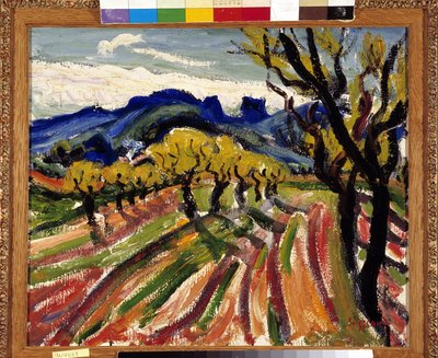 Pole drzew oliwnych w Alpilles (olej na płótnie) autorstwa Rene Auguste Seyssaud