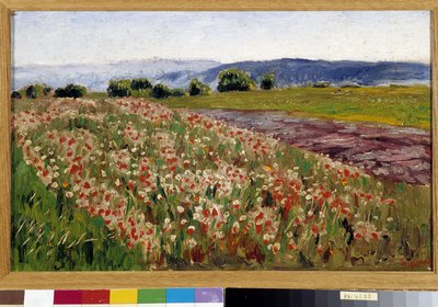 O campo de papoulas (pintura) polonês autorstwa Rene Auguste Seyssaud