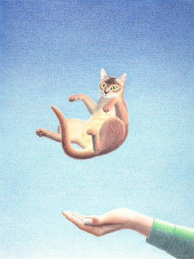 Catch autorstwa Rene Boin