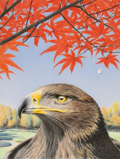 Orzeł, 2015, Rysunek ołówkiem na papierze autorstwa Rene Boin