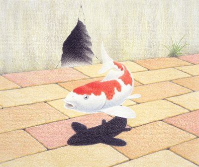 Koi autorstwa Rene Boin
