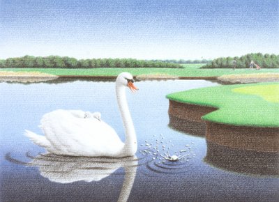 Pluśnięcie autorstwa Rene Boin