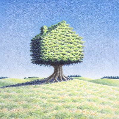 Domek na drzewie autorstwa Rene Boin