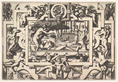 Medea wylewa magiczną miksturę na Jasona Kinga Aesona, tak zgrzybiałego i czcigodnego, w kadzi ona..., 1563. autorstwa Rene Boyvin