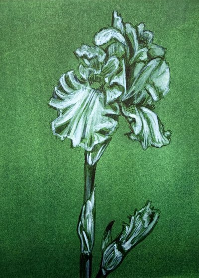 Elegancki zielony irys autorstwa Renee Machan Cottagecore Artist