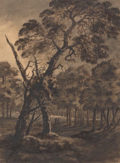 Scena leśna autorstwa Rev. William Gilpin