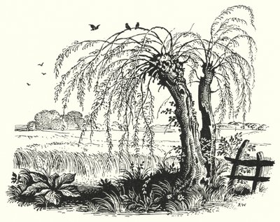 Hans Christian Andersen: Kasza gryczana (lito) autorstwa Rex (after) Whistler