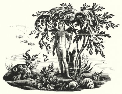 Hans Christian Andersen: Mała Syrenka (lito) autorstwa Rex (after) Whistler