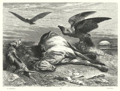 Childe Harold Lorda Byrona, Canto I, Stanza 88 (grawerowanie) autorstwa Richard (after) Ansdell