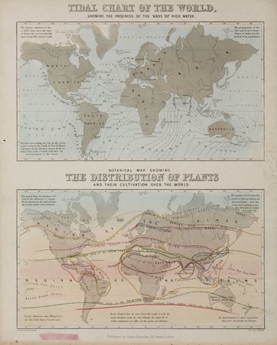 Wykres pływów i mapa rozmieszczenia roślin na świecie, ok. 1850 autorstwa John Pardon