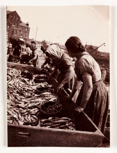 Wędkarstwo, Fisherfolk Kobiety sortujące ryby, Port Whitby, North Yorkshire, ok. 1905 autorstwa John Pardon