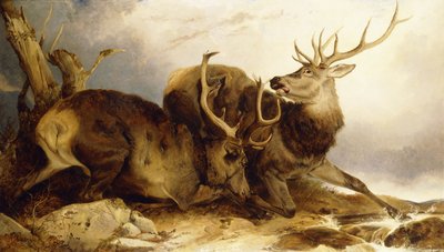 Walka, 1847 autorstwa Richard Ansdell