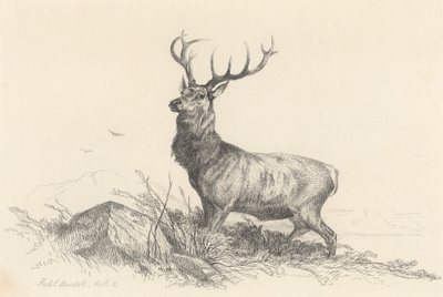 Strażnik autorstwa Richard Ansdell