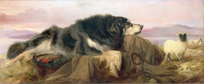 Pies pasterski autorstwa Richard Ansdell