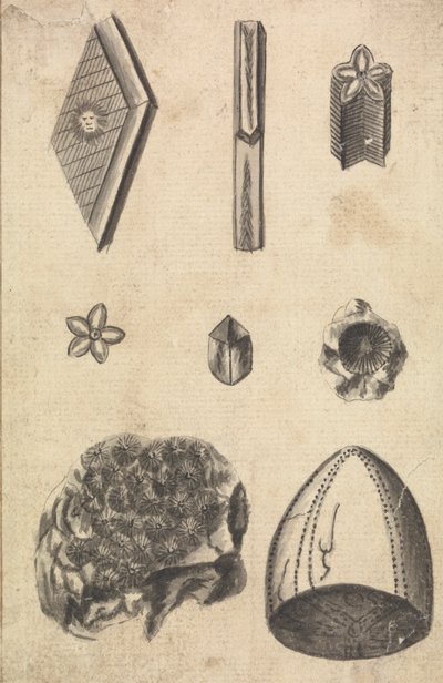 Kryształy i skamieniałości autorstwa Richard Brookes