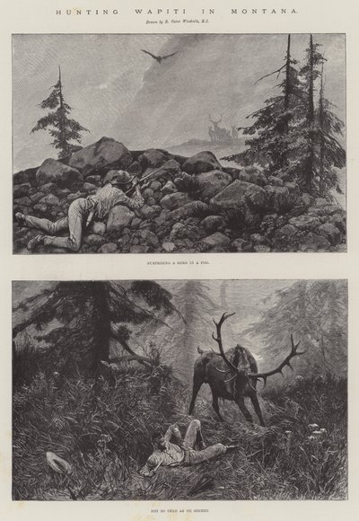 Polowanie na Wapiti w Montanie autorstwa Richard Caton Woodville junior