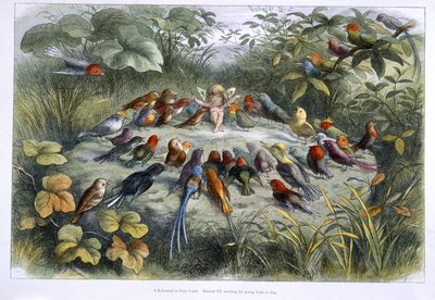 Elf i ptaki autorstwa Richard Doyle