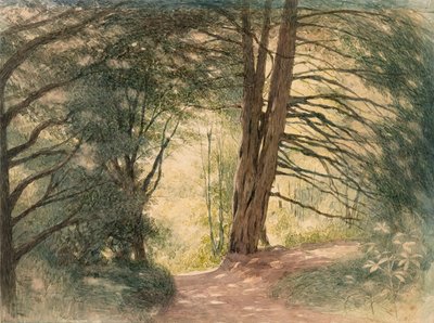 Box Hill, Surrey autorstwa Richard Doyle