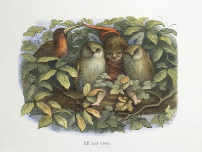 Elf i sowy autorstwa Richard Doyle