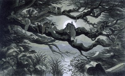 Wróżki, nimfy i elfy odpoczywają w świetle księżyca na gałęzi? Ilustracja ""W Krainie Bajek. Seria zdjęć ze świata elfów"" Richarda Doyle