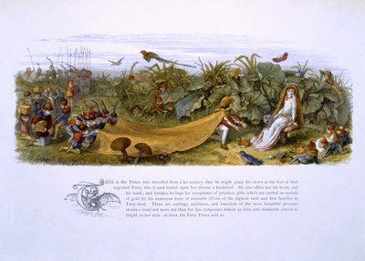 Ilustracje z książki 