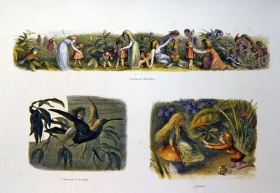 W krainie wróżek autorstwa Richard Doyle