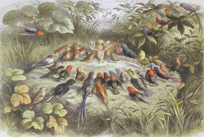 Próba muzyczna w krainie baśni (ilustracja z książki „W krainie baśni. Obrazy ze świata baśni”, autorstwa Williama Allinghama i Andrew Langa autorstwa Richard Doyle