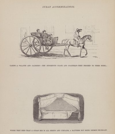 Strona z amerykańskiej trasy panów Browna, Jonesa i Robinsona (rycina) autorstwa Richard Doyle