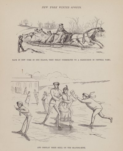 Strona z amerykańskiej trasy panów Browna, Jonesa i Robinsona (rycina) autorstwa Richard Doyle