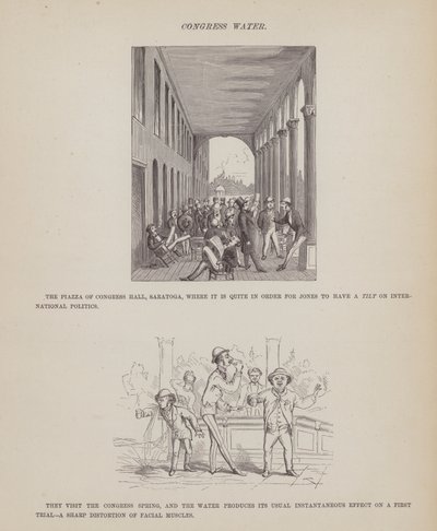Strona z amerykańskiej trasy panów Browna, Jonesa i Robinsona (grawerunek) autorstwa Richard Doyle