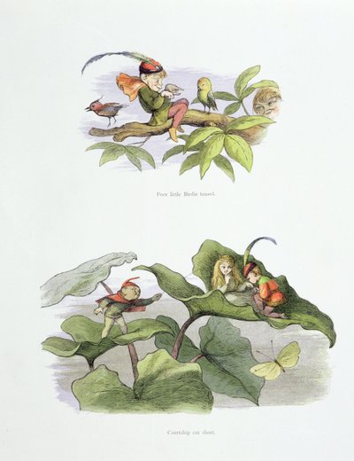 Biedny mały Birdie dokuczał, a zaloty zostały przerwane, ilustracje z 
